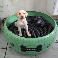 DIY Original dog houses