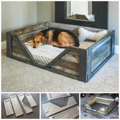 DIY Original dog houses