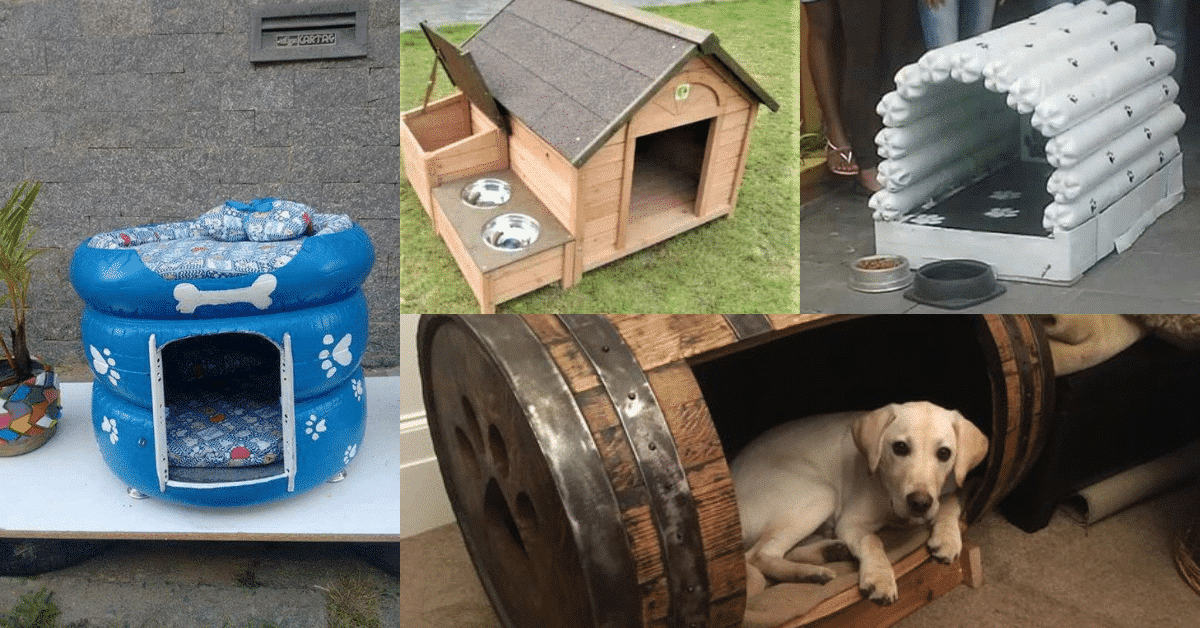 diy original dog houses