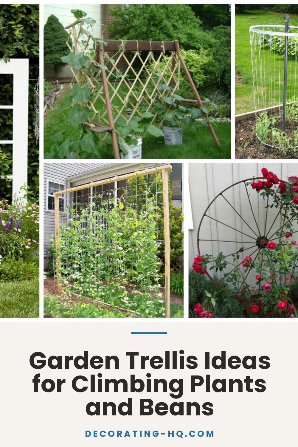 Garden Trellis Ideas for Climbing Plants and Beans