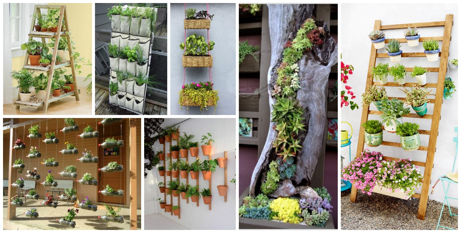 diy vertical garden