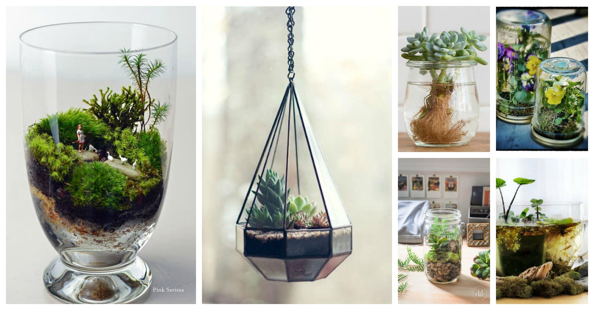 diy wonderful terrarium