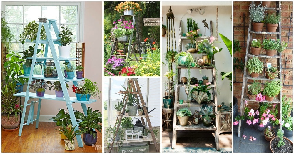 diy wooden ladder garden