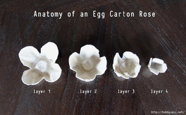 DIY Egg Carton Rose Mirror Decoration