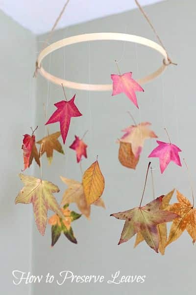 12+ Amazing Fall Leaves Craft