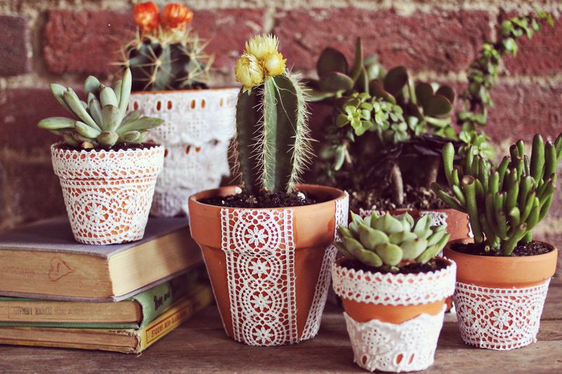 10+ Awesome Ideas to Decorate Flower Pots