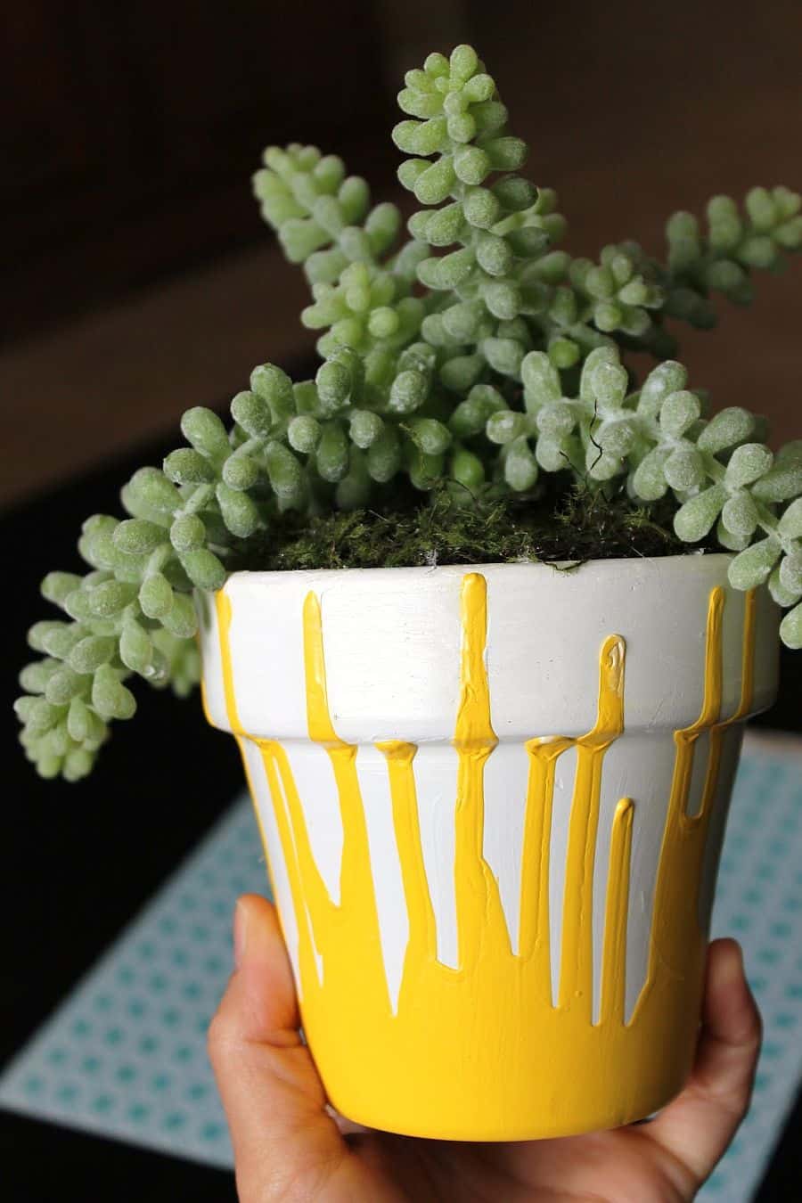 10+ Awesome Ideas to Decorate Flower Pots