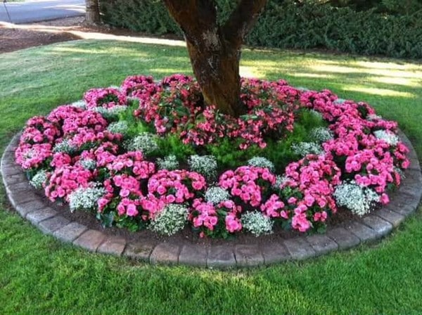 front garden landscaping 1