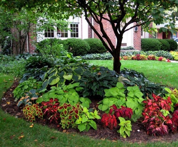 25+ The Best Front Garden Ideas