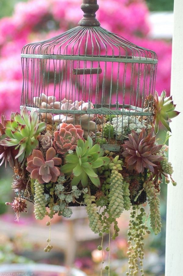 17+ DIY Awesome Garden Art Ideas