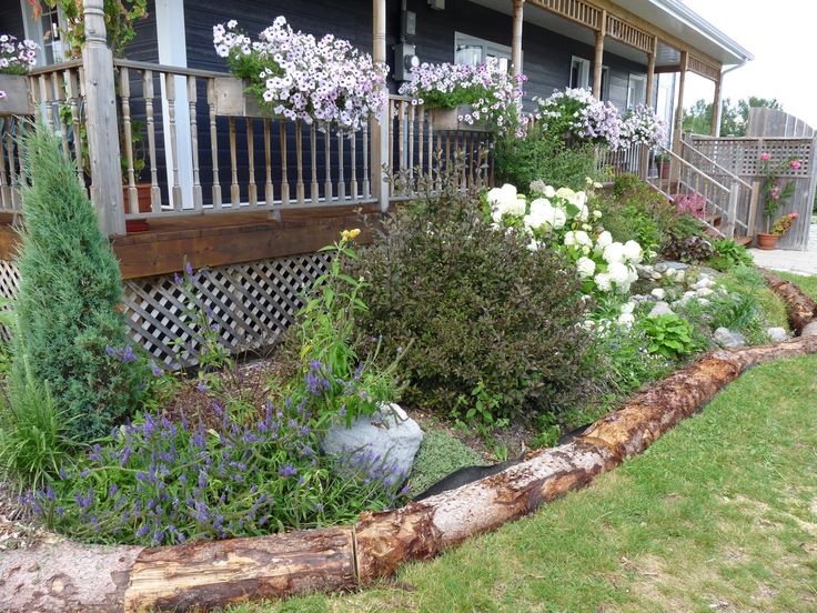 20 Garden borders made with unusual materials