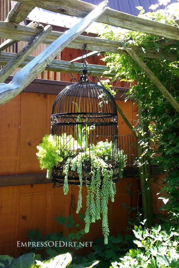 Decorations To Make Your Garden Look More Interesting