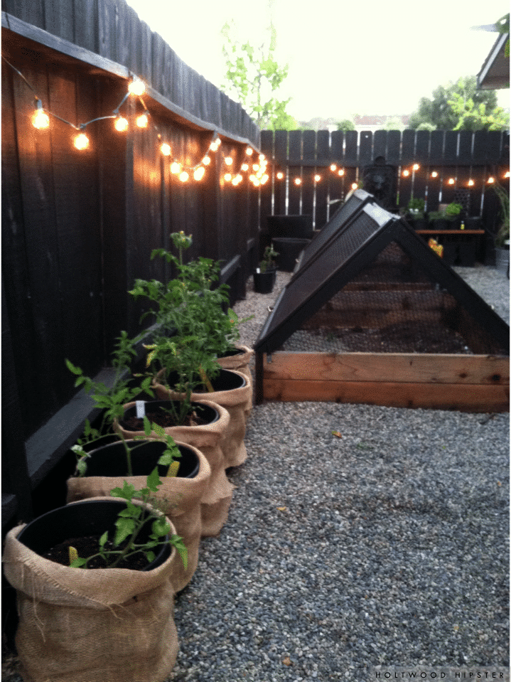 15+ Superb Garden Fence Lighting Ideas