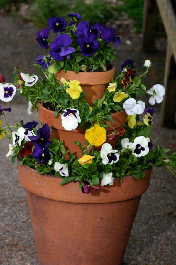 15+ Fascinating Garden Planter Ideas