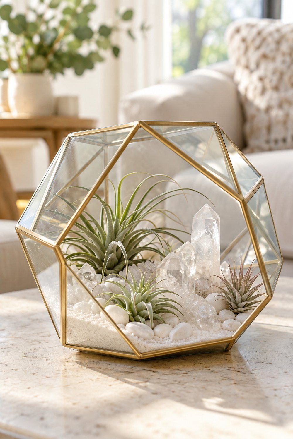 Air plants and clear quartz rise above white rocks in geometric glass