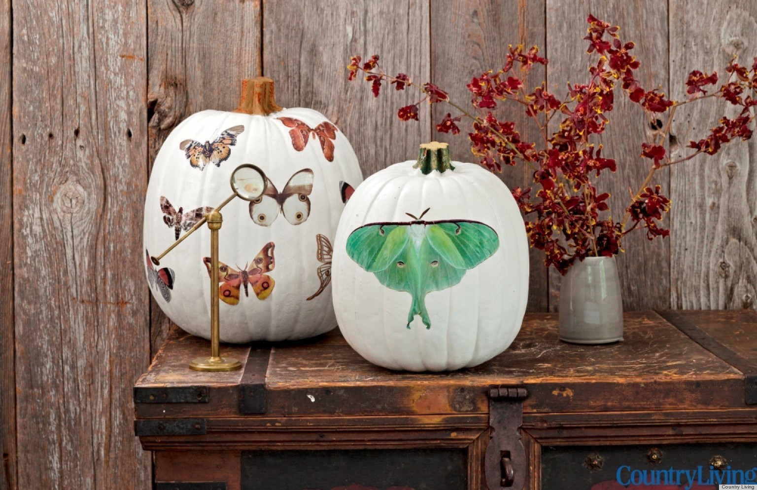 Halloween Decoration Ideas: Transform Your Home into a Haunt