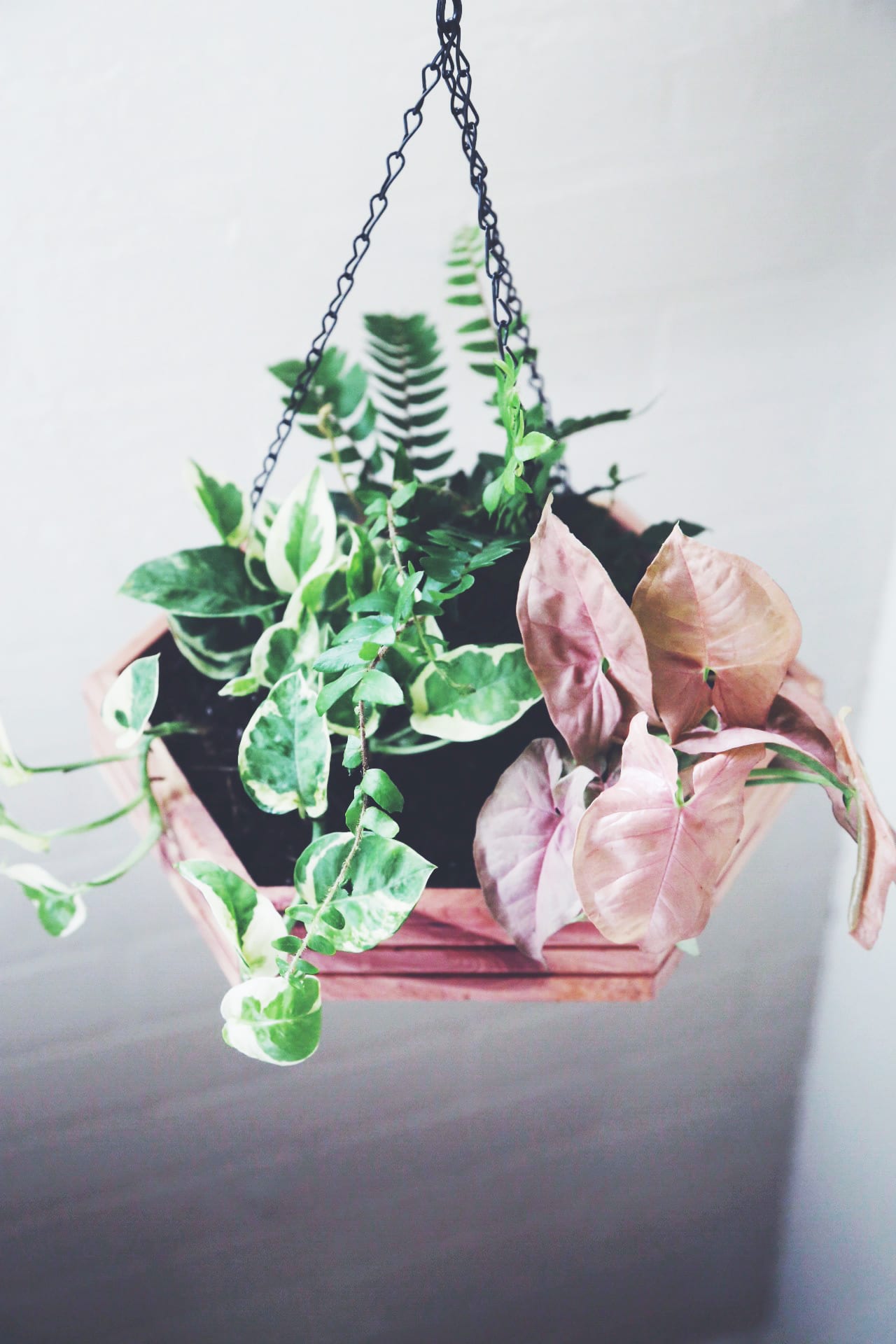 hanging planters 11