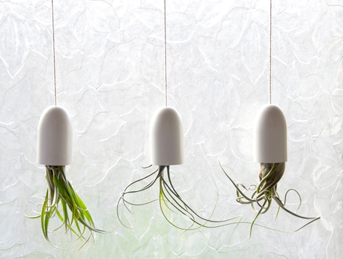 15+ Fabulous DIY Hanging Planters