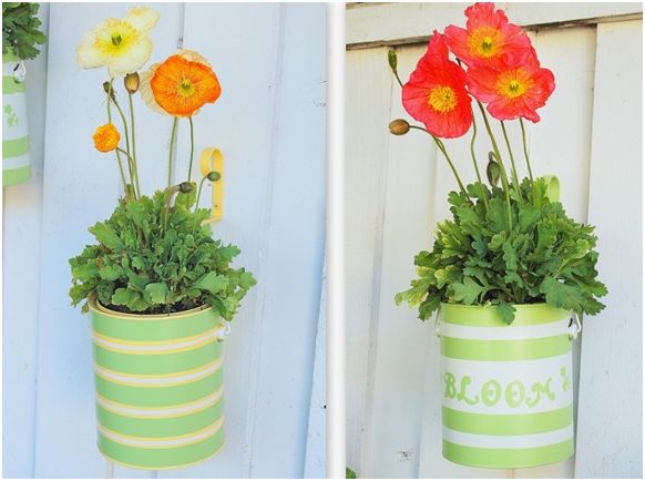 15+ Fabulous DIY Hanging Planters