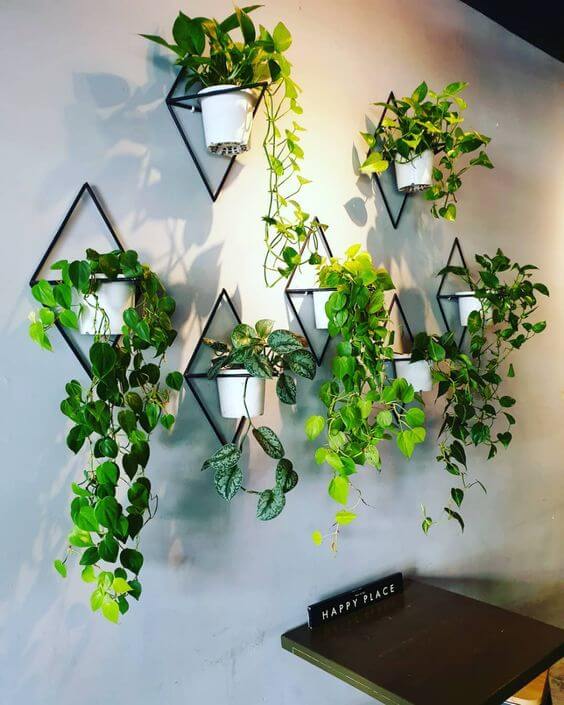 15+ Best Hanging Wall Vase Ideas