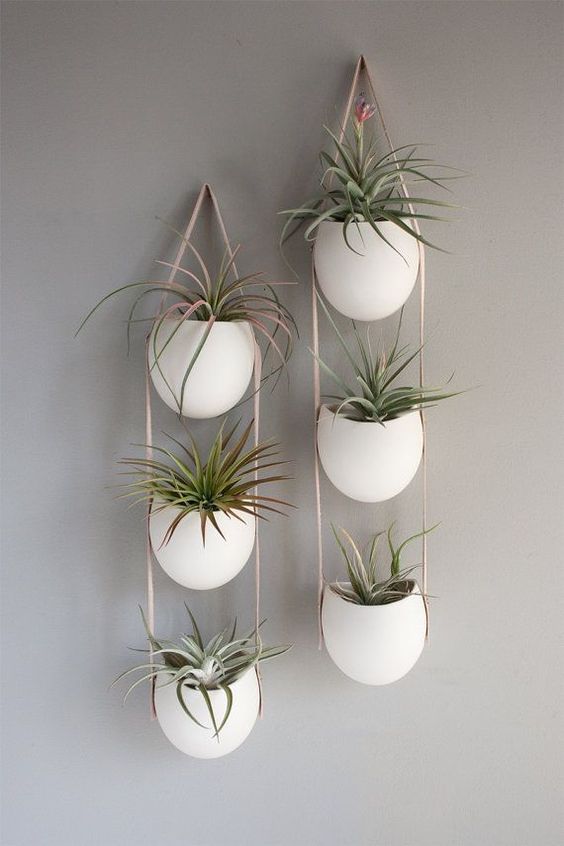 15+ Best Hanging Wall Vase Ideas