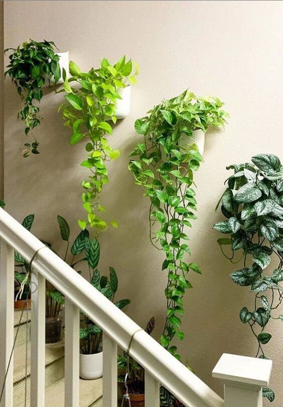 15+ Best Hanging Wall Vase Ideas