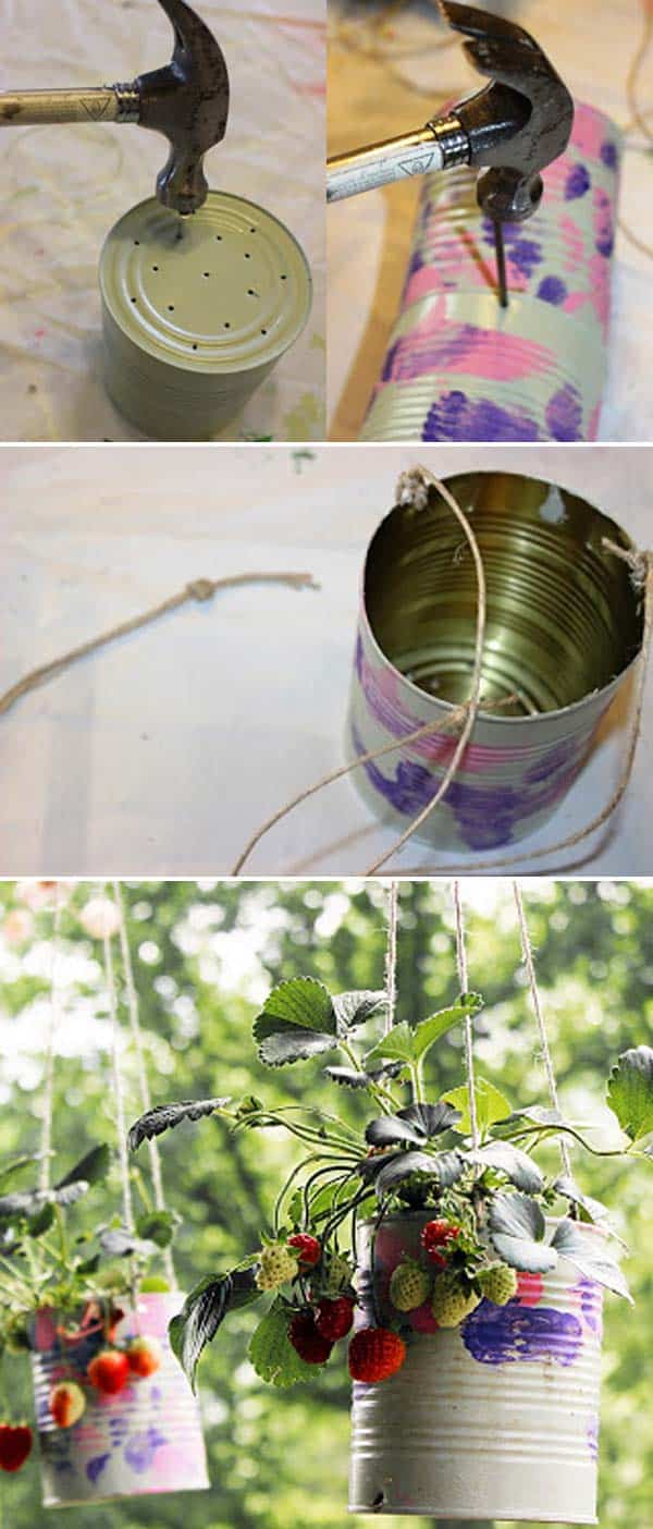 ideas for growing strawberries in a small garden 3