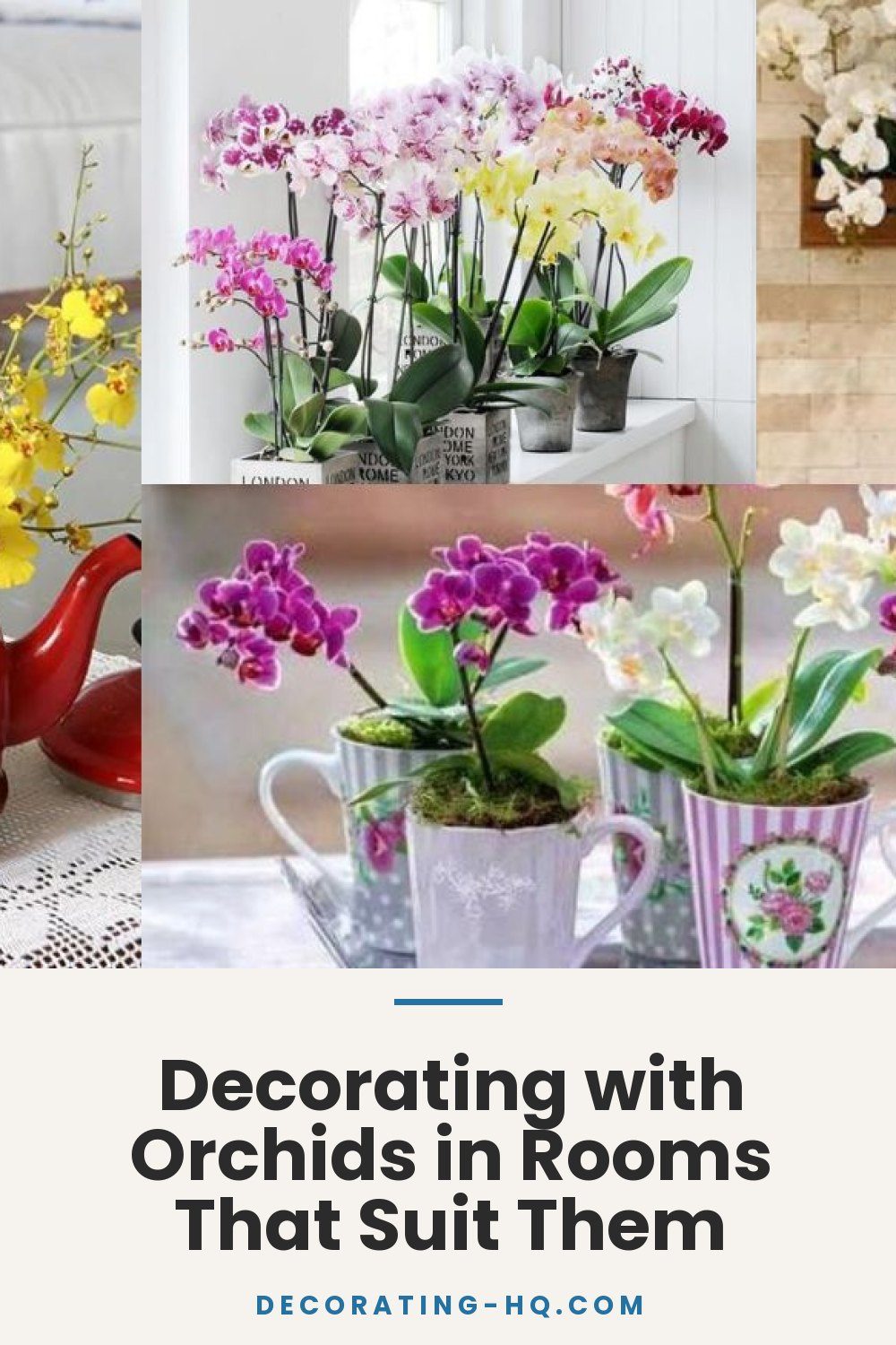Decorating with Orchids in Rooms That Suit Them