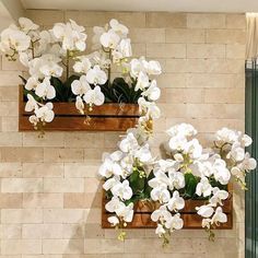 Ideas to Decorate the House with Orchids