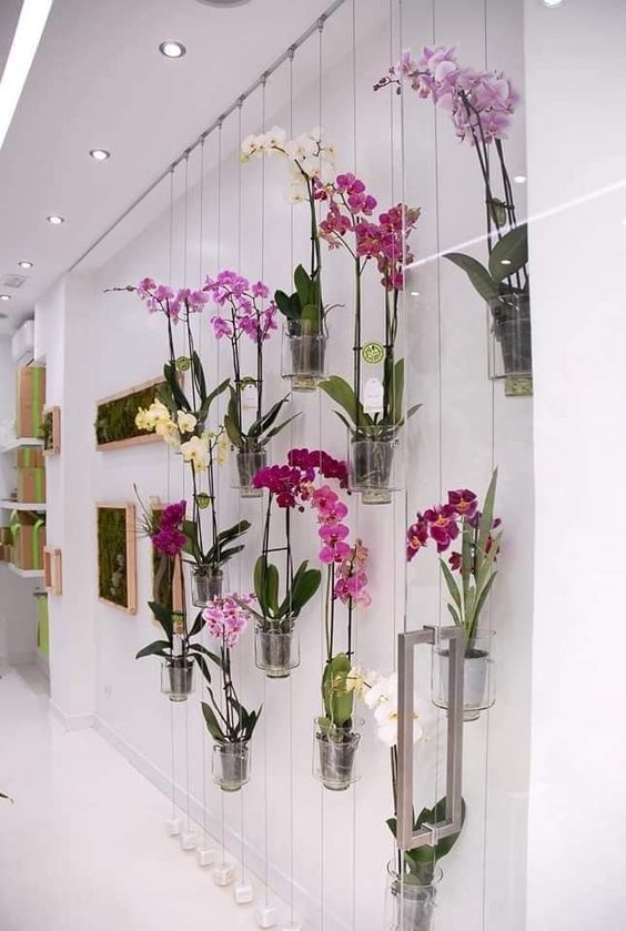 ideas to decorate the house with orchids hall