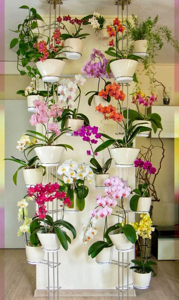 ideas to decorate the house with orchids living room