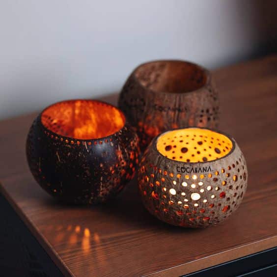 Creative Uses for Coconut Shells – Go Green!