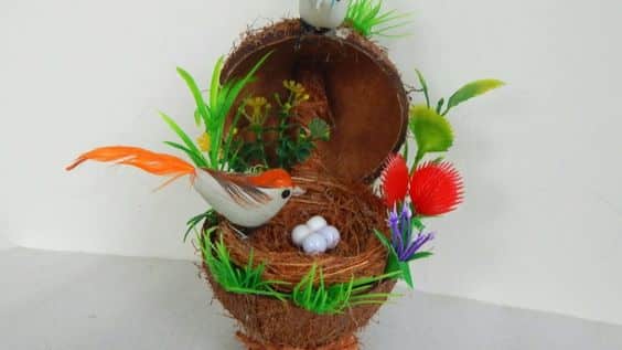 Creative Uses for Coconut Shells – Go Green!