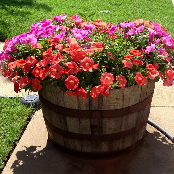 ideas to use old wine barrels in decoration 10