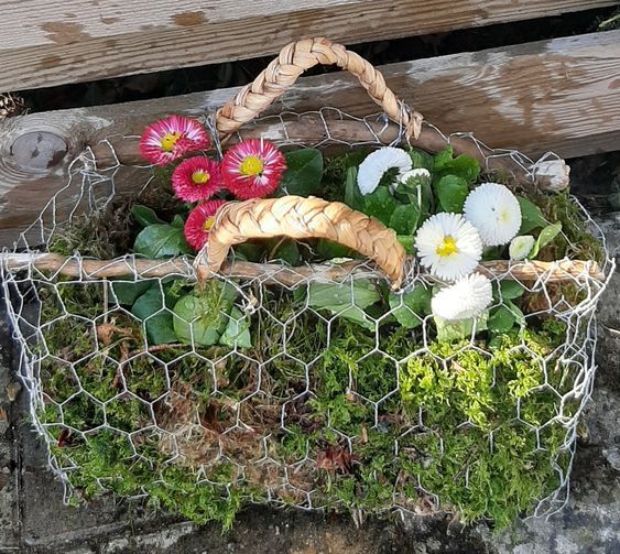 Beautiful Ideas with Wire to Decorate Your Garden