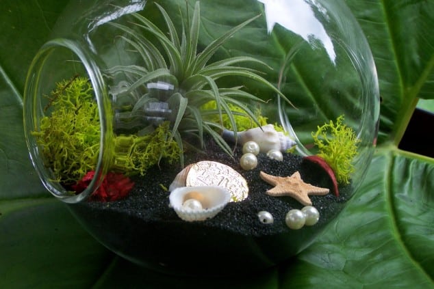 15 Miniature Terrariums Masterpieces