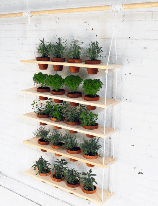 15+ Indoor Gardens That Will Make You Say WoW