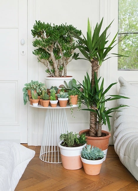 15+ Indoor Gardens That Will Make You Say WoW