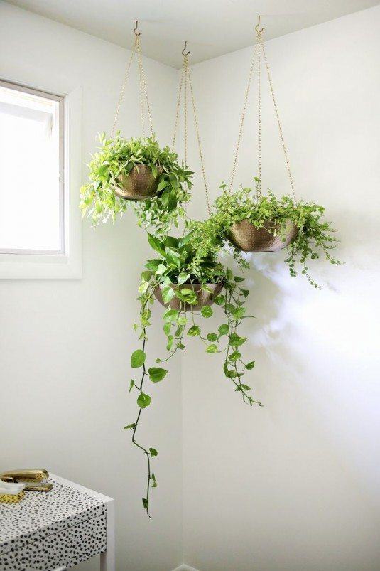 15+ Indoor Gardens That Will Make You Say WoW