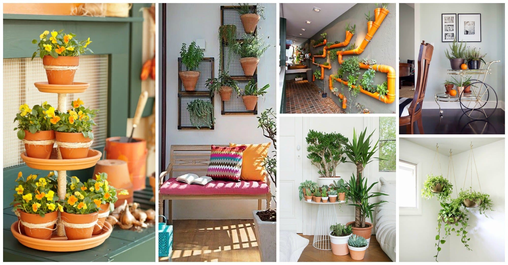 indoor gardens ideas