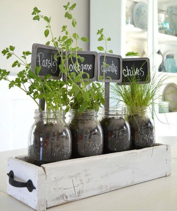 15+ Super Ideas for Styling Your Home With Indoor Herb Gardens