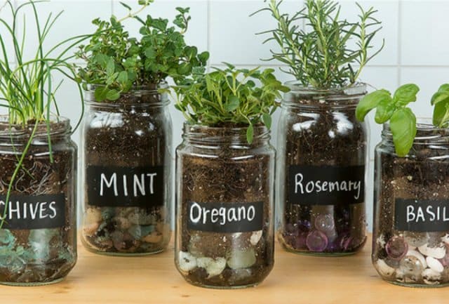 15+ Super Ideas for Styling Your Home With Indoor Herb Gardens