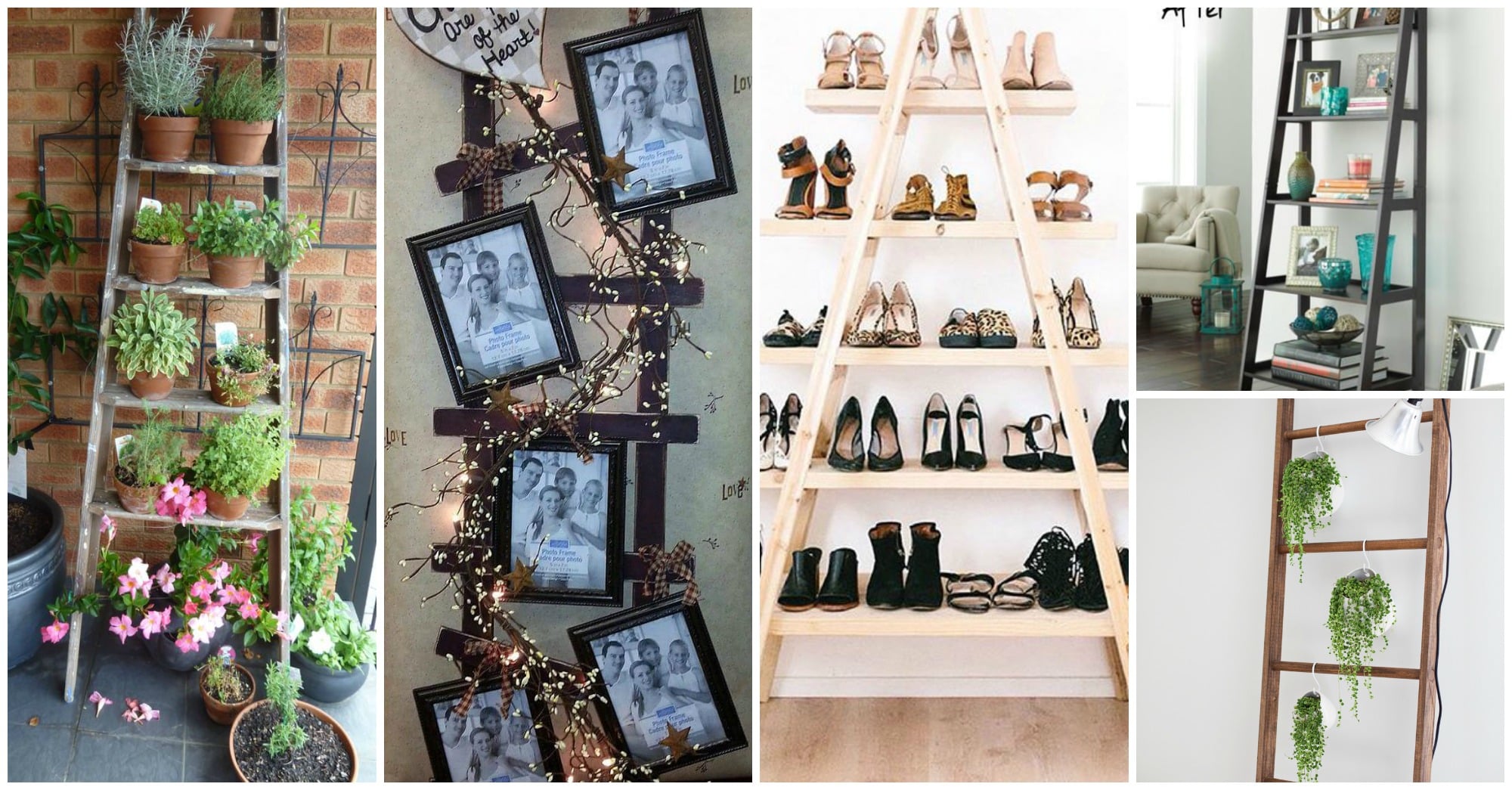 ladder decor ideas