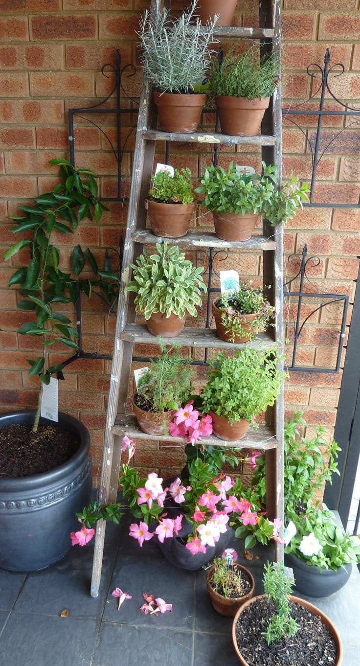 Fantastic Ways to Repurposed Ladder