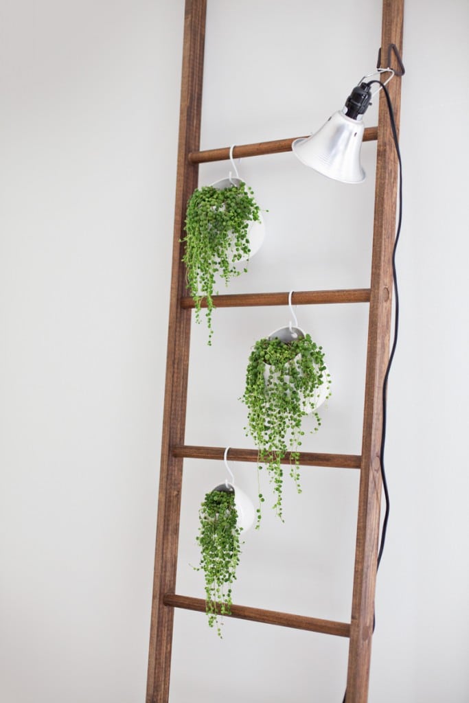 Fantastic Ways to Repurposed Ladder