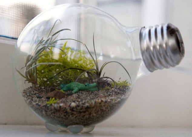 15 Miniature Terrariums Masterpieces