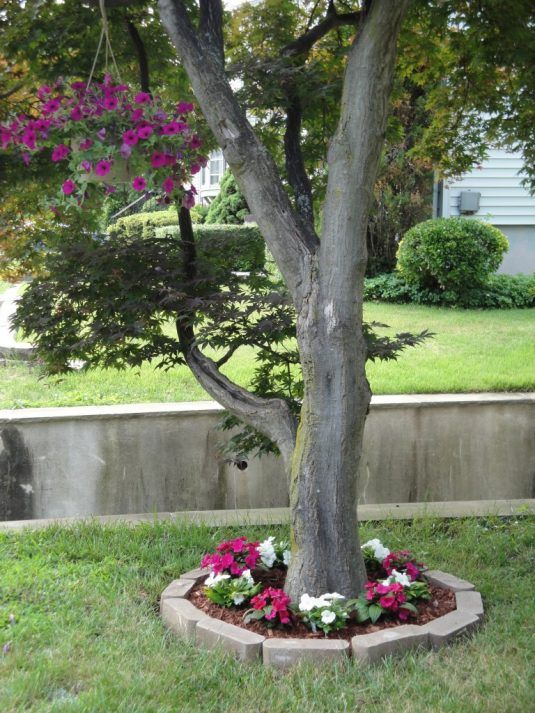 Landscape Perfection: 15 Stunning Ideas for Decorating Around Trees