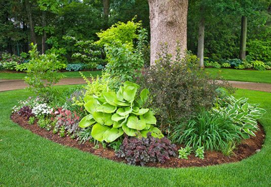 Landscape Perfection: 15 Stunning Ideas for Decorating Around Trees