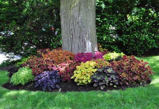 Landscape Perfection: 15 Stunning Ideas for Decorating Around Trees