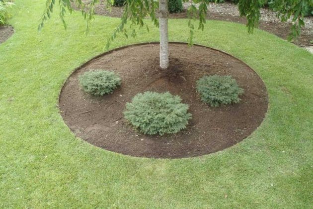 Landscape Perfection: 15 Stunning Ideas for Decorating Around Trees